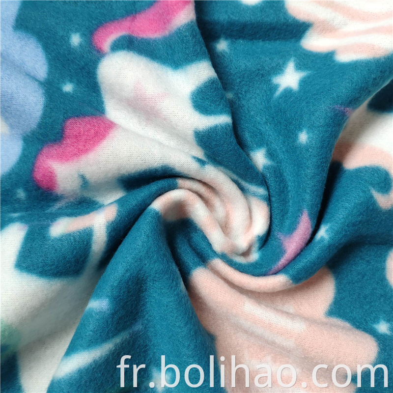 Polar Fleece 13